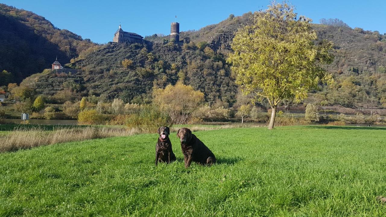 Ferienhaus Leopold Mit Burgblick An Der Mosel Burgen  Exteriör bild