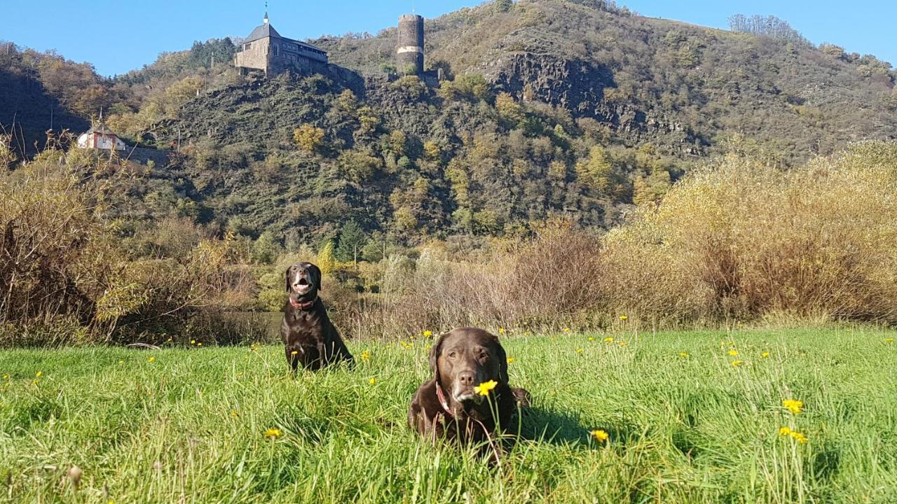 Ferienhaus Leopold Mit Burgblick An Der Mosel Burgen  Exteriör bild