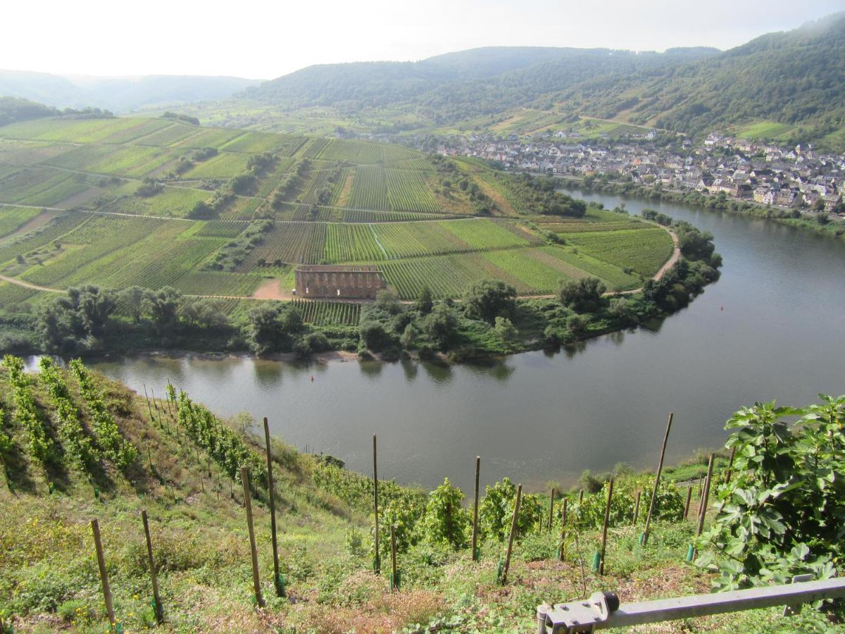 Ferienhaus Leopold Mit Burgblick An Der Mosel Burgen  Exteriör bild
