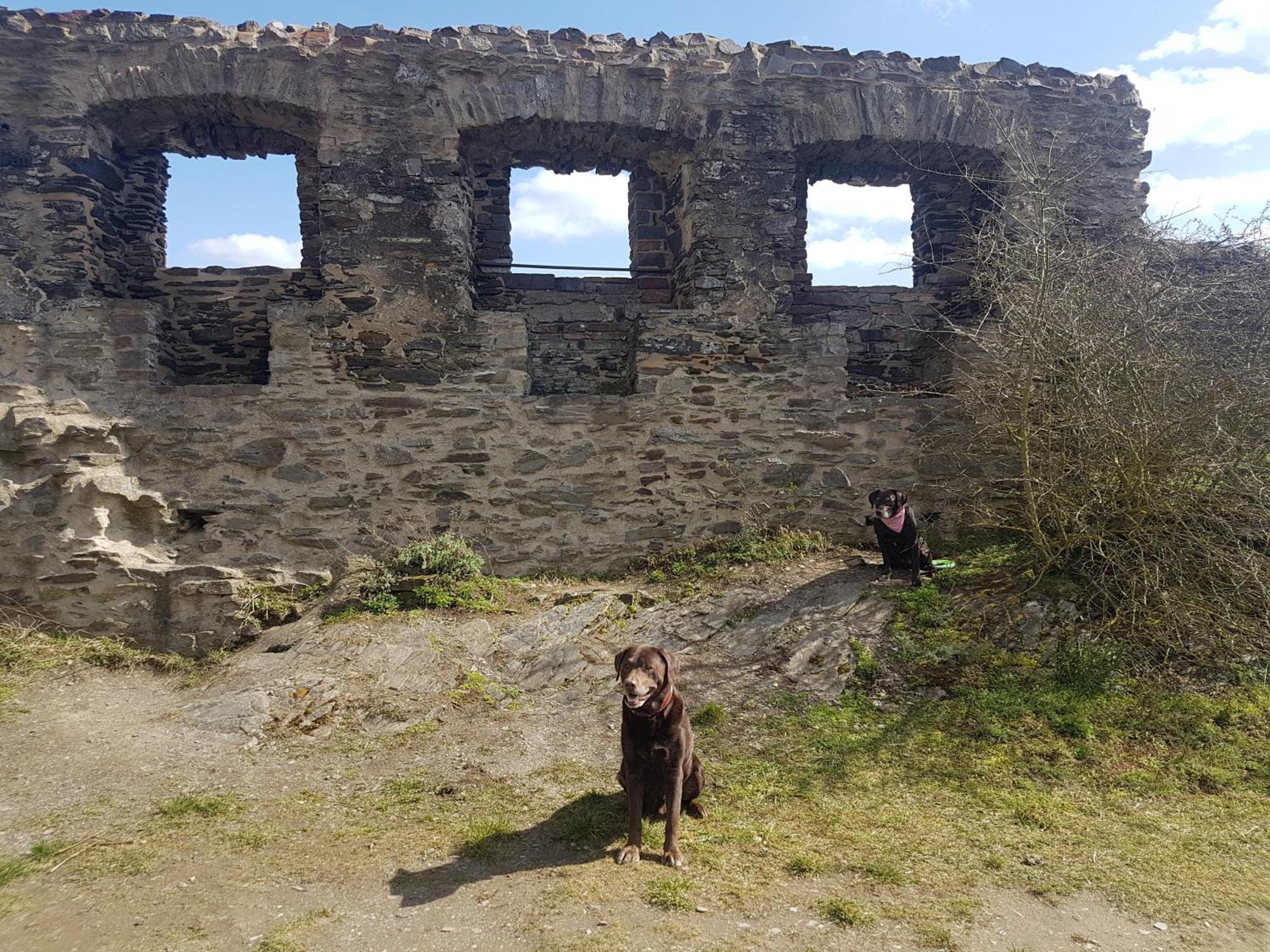 Ferienhaus Leopold Mit Burgblick An Der Mosel Burgen  Exteriör bild